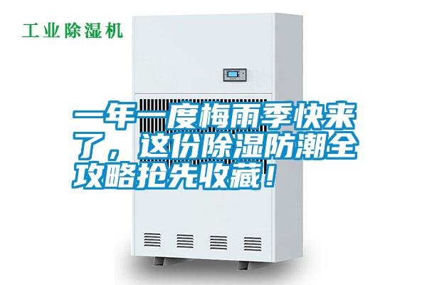 一年一度梅雨季快來了，這份除濕防潮全攻略搶先收藏！
