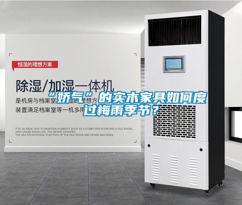 “嬌氣”的實(shí)木家具如何度過梅雨季節(jié)？