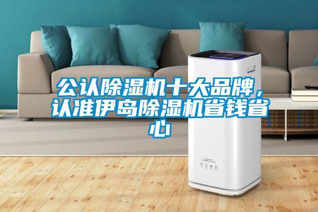 公認(rèn)除濕機(jī)十大品牌，認(rèn)準(zhǔn)伊島除濕機(jī)省錢省心