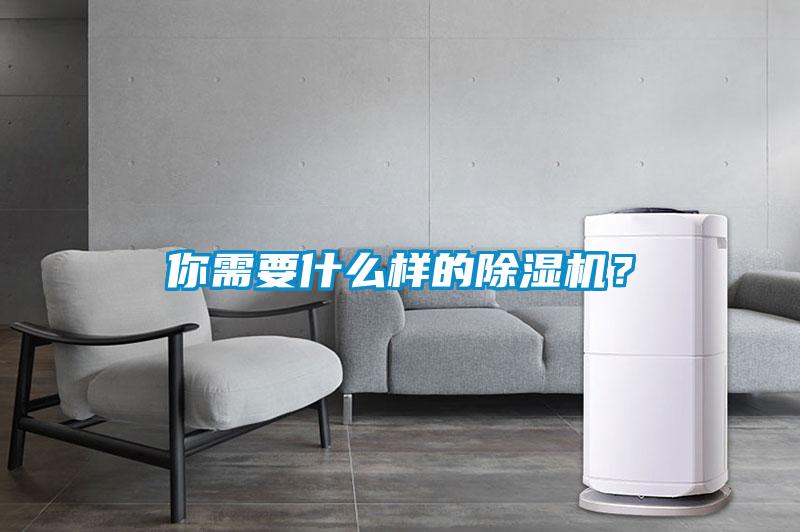 你需要什么樣的除濕機(jī)？
