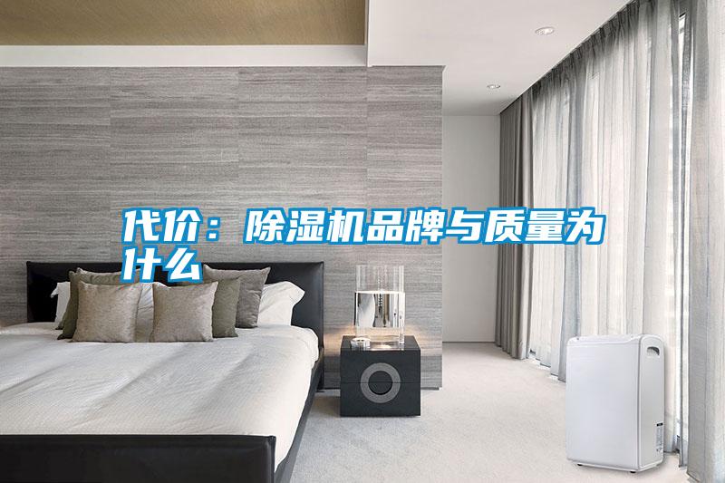 代價：除濕機(jī)品牌與質(zhì)量為什么