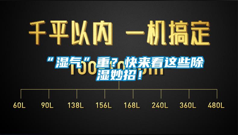 “濕氣”重？快來看這些除濕妙招！