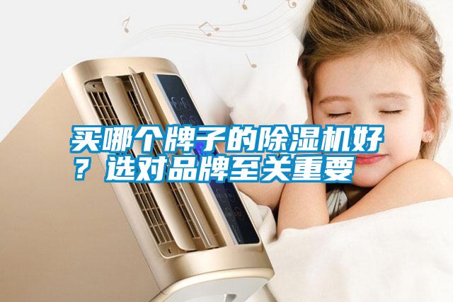 買哪個(gè)牌子的除濕機(jī)好？選對(duì)品牌至關(guān)重要