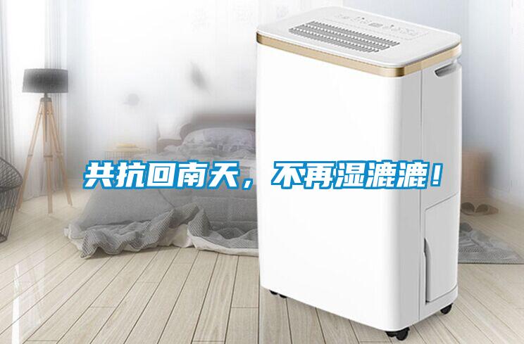 共抗回南天，不再濕漉漉！
