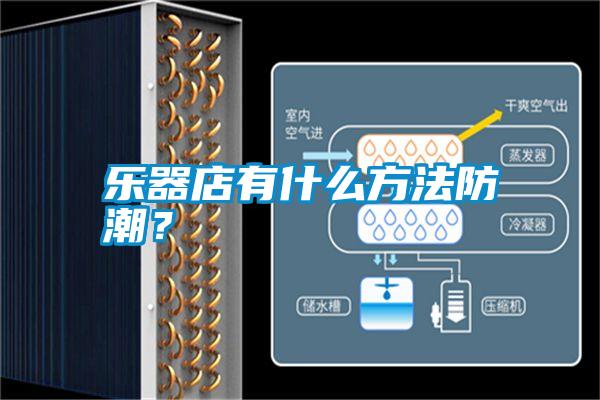 樂(lè)器店有什么方法防潮？