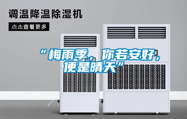 “梅雨季，你若安好，便是晴天”