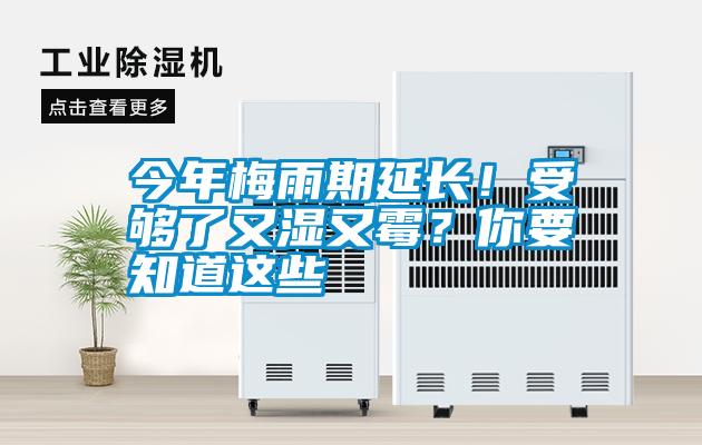 今年梅雨期延長！受夠了又濕又霉？你要知道這些