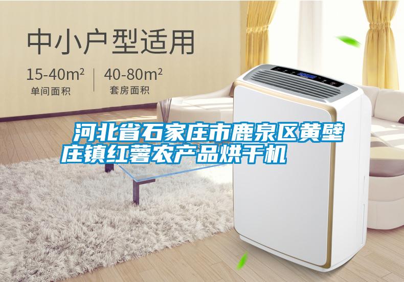 ?河北省石家莊市鹿泉區(qū)黃壁莊鎮(zhèn)紅薯農產(chǎn)品烘干機