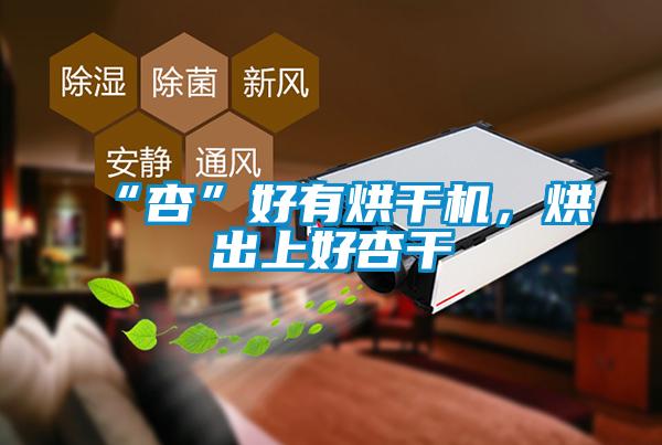 “杏”好有烘干機，烘出上好杏干