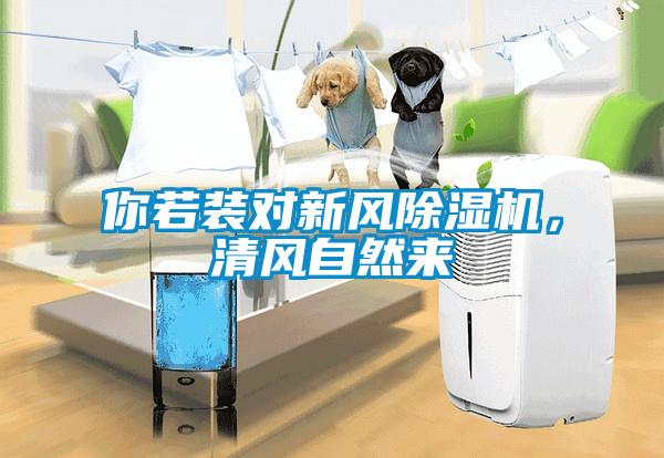 你若裝對(duì)新風(fēng)除濕機(jī)，清風(fēng)自然來(lái)