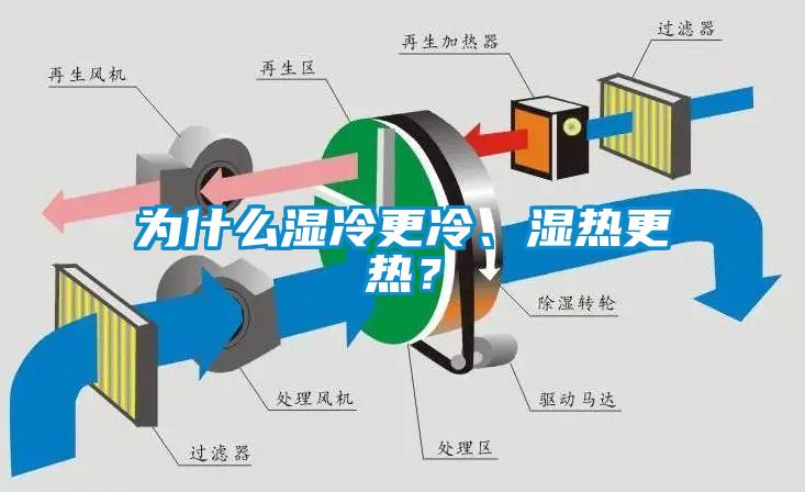 為什么濕冷更冷、濕熱更熱？