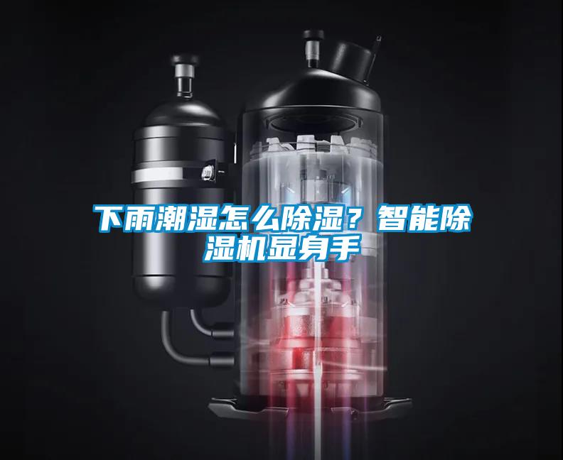 下雨潮濕怎么除濕？智能除濕機(jī)顯身手