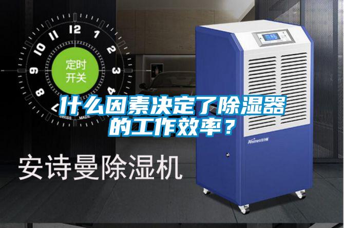 什么因素決定了除濕器的工作效率？