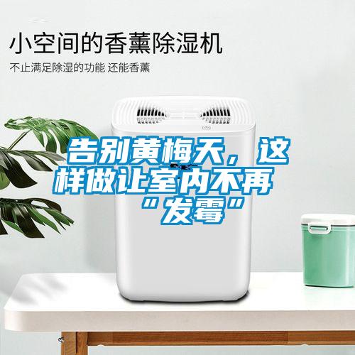 告別黃梅天，這樣做讓室內(nèi)不再“發(fā)霉”