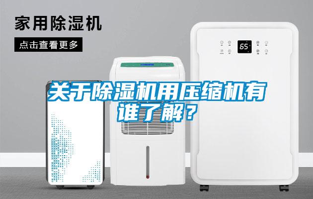 關(guān)于除濕機(jī)用壓縮機(jī)有誰了解？