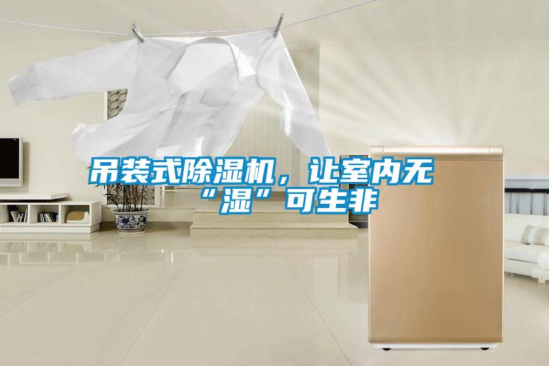 吊裝式除濕機(jī)，讓室內(nèi)無“濕”可生非