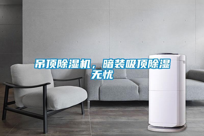 吊頂除濕機(jī)，暗裝吸頂除濕無(wú)憂