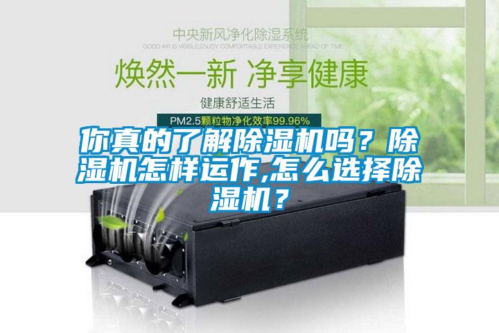 你真的了解除濕機(jī)嗎？除濕機(jī)怎樣運(yùn)作,怎么選擇除濕機(jī)？