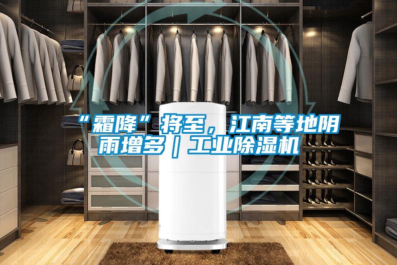 “霜降”將至，江南等地陰雨增多｜工業(yè)除濕機(jī)