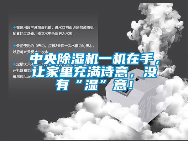 中央除濕機(jī)一機(jī)在手，讓家里充滿詩意，沒有“濕”意！