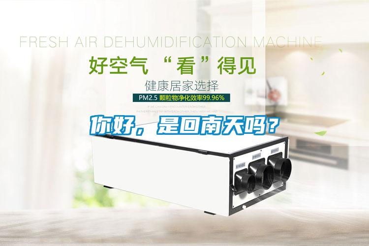 你好，是回南天嗎？