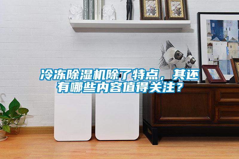 冷凍除濕機(jī)除了特點(diǎn)，其還有哪些內(nèi)容值得關(guān)注？