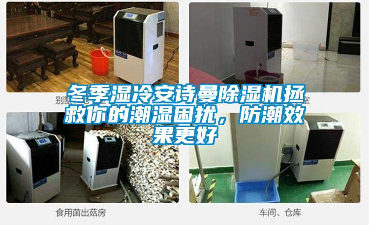 冬季濕冷安詩(shī)曼除濕機(jī)拯救你的潮濕困擾，防潮效果更好