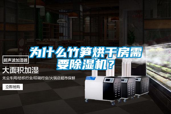 為什么竹筍烘干房需要除濕機(jī)？