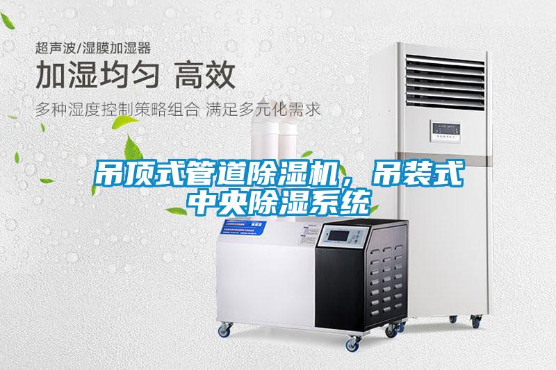吊頂式管道除濕機(jī)，吊裝式中央除濕系統(tǒng)