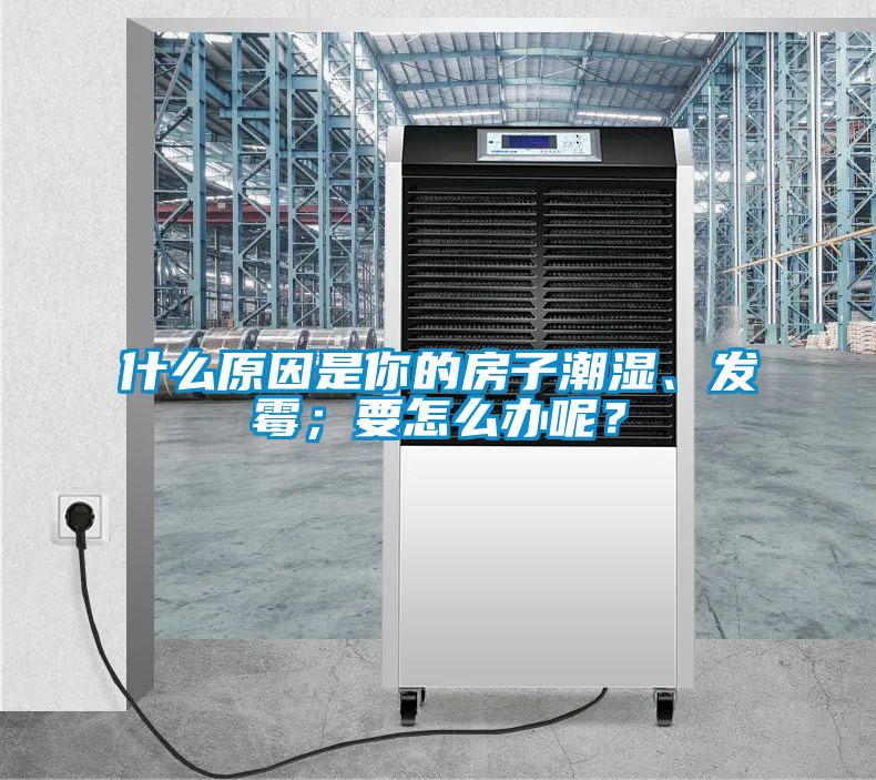 什么原因是你的房子潮濕、發(fā)霉；要怎么辦呢？