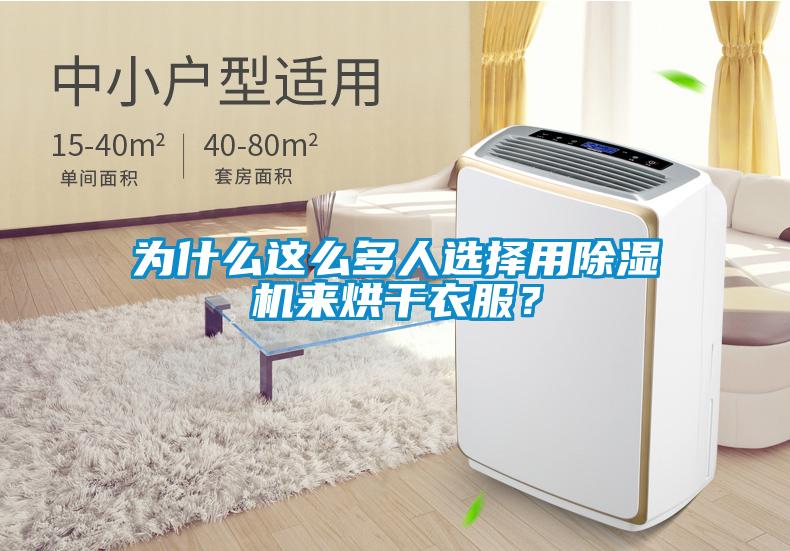 為什么這么多人選擇用除濕機來烘干衣服？