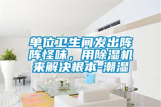 單位衛(wèi)生間發(fā)出陣陣怪味，用除濕機來解決根本-潮濕