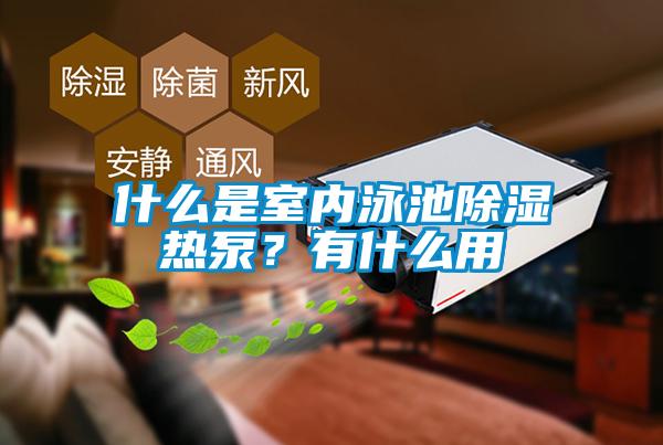 什么是室內(nèi)泳池除濕熱泵？有什么用