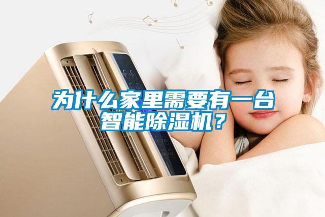 為什么家里需要有一臺智能除濕機(jī)？