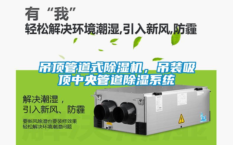 吊頂管道式除濕機，吊裝吸頂中央管道除濕系統(tǒng)