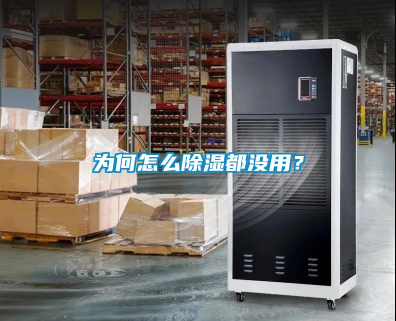 為何怎么除濕都沒用？