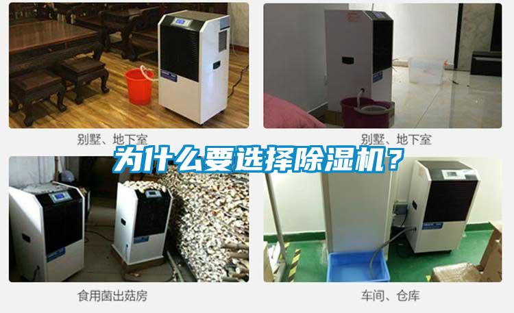 為什么要選擇除濕機(jī)？