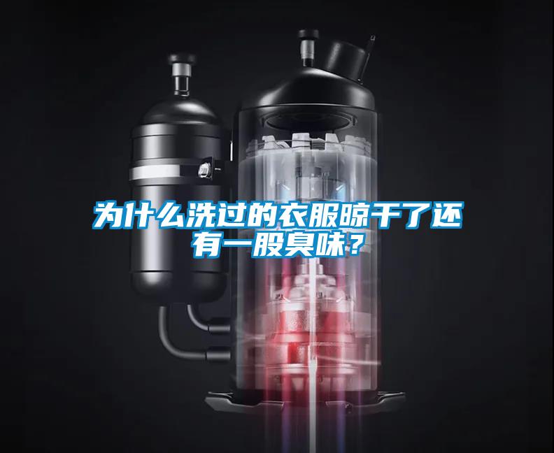 為什么洗過的衣服晾干了還有一股臭味？