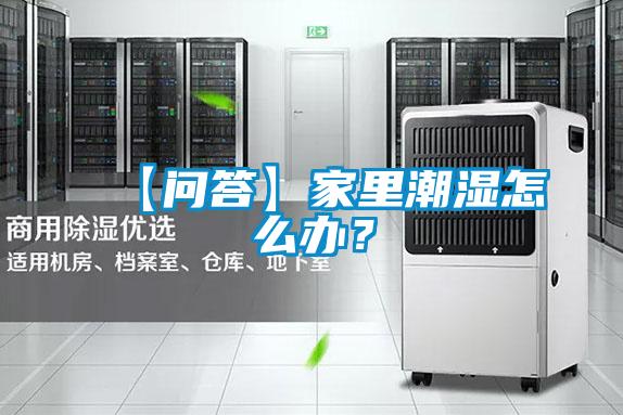 【問(wèn)答】家里潮濕怎么辦？