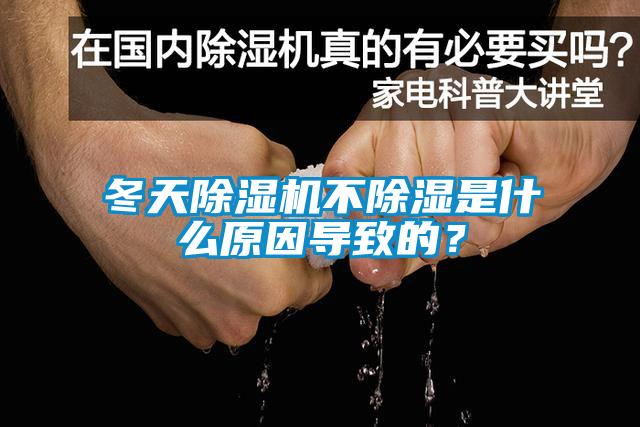 冬天除濕機(jī)不除濕是什么原因?qū)е碌模?/></p>
						    <p style=