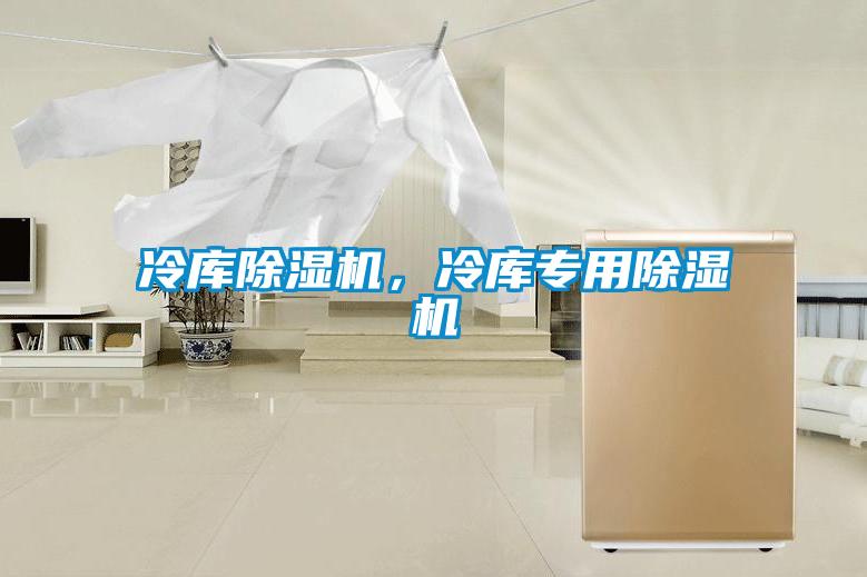 冷庫(kù)除濕機(jī)，冷庫(kù)專(zhuān)用除濕機(jī)