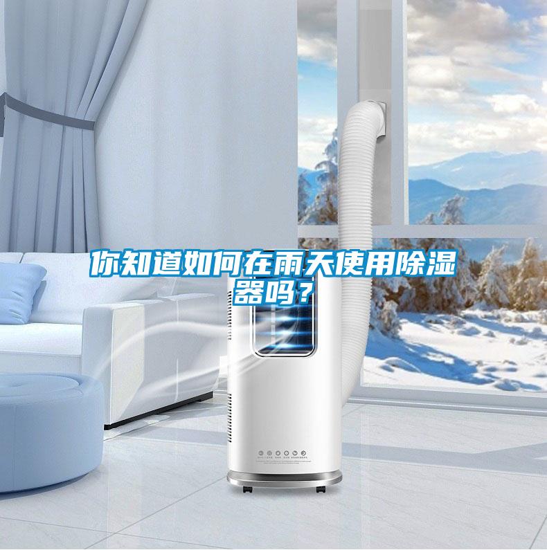 你知道如何在雨天使用除濕器嗎？