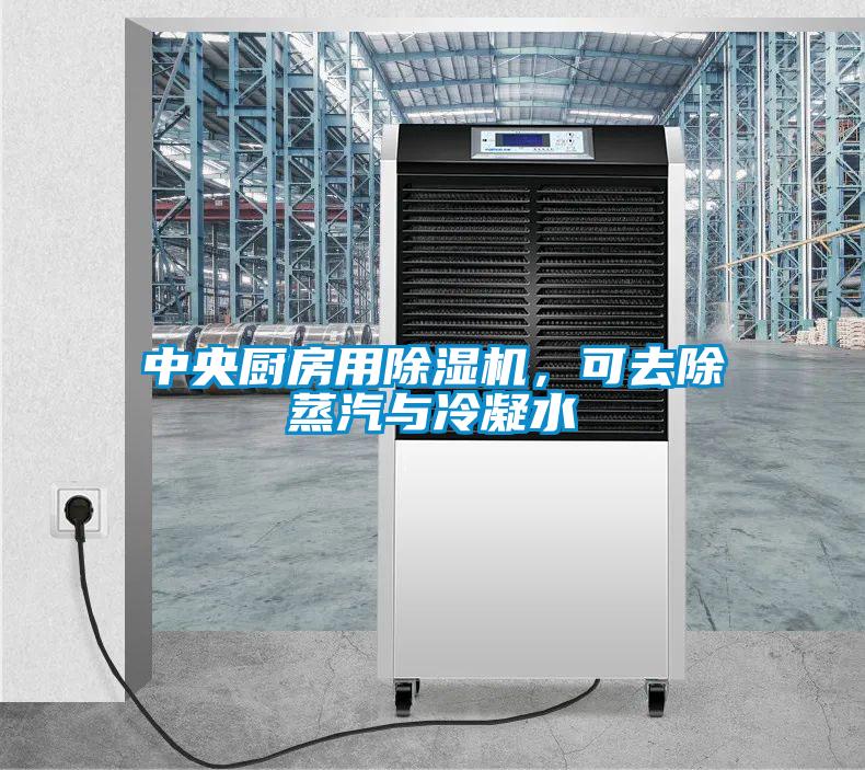 中央廚房用除濕機，可去除蒸汽與冷凝水