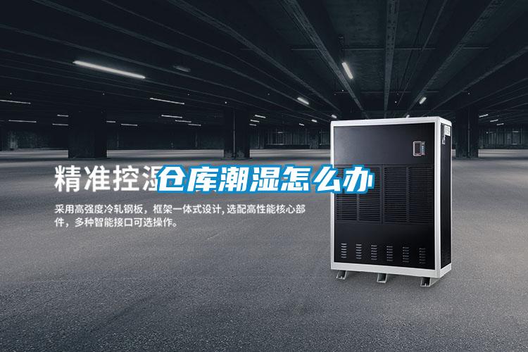 倉(cāng)庫(kù)潮濕怎么辦
