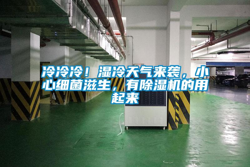 冷冷冷！濕冷天氣來襲，小心細(xì)菌滋生，有除濕機(jī)的用起來