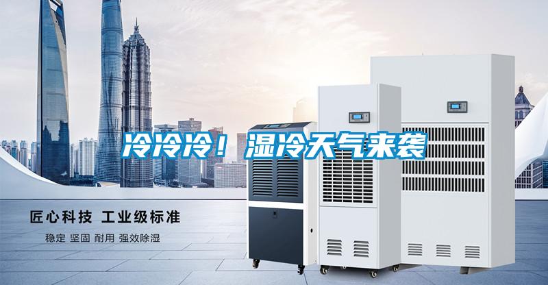 冷冷冷！濕冷天氣來襲