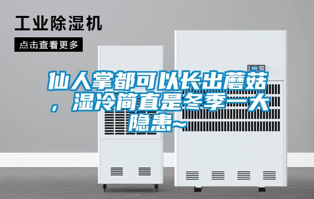 仙人掌都可以長出蘑菇，濕冷簡直是冬季一大隱患~