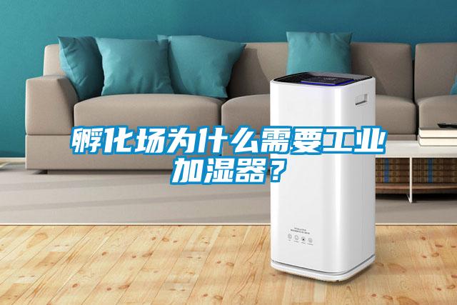 孵化場為什么需要工業(yè)加濕器？