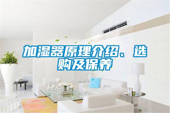 加濕器原理介紹、選購(gòu)及保養(yǎng)