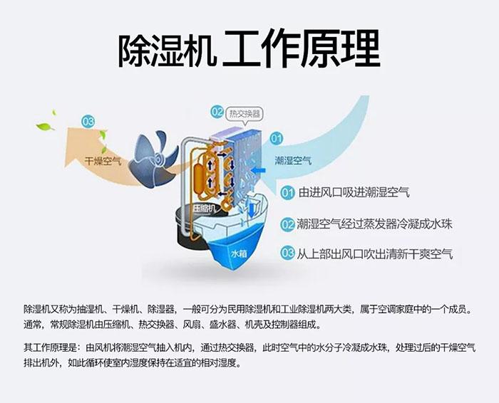 南北之爭：南方的濕冷比北方的干冷更變態(tài)？